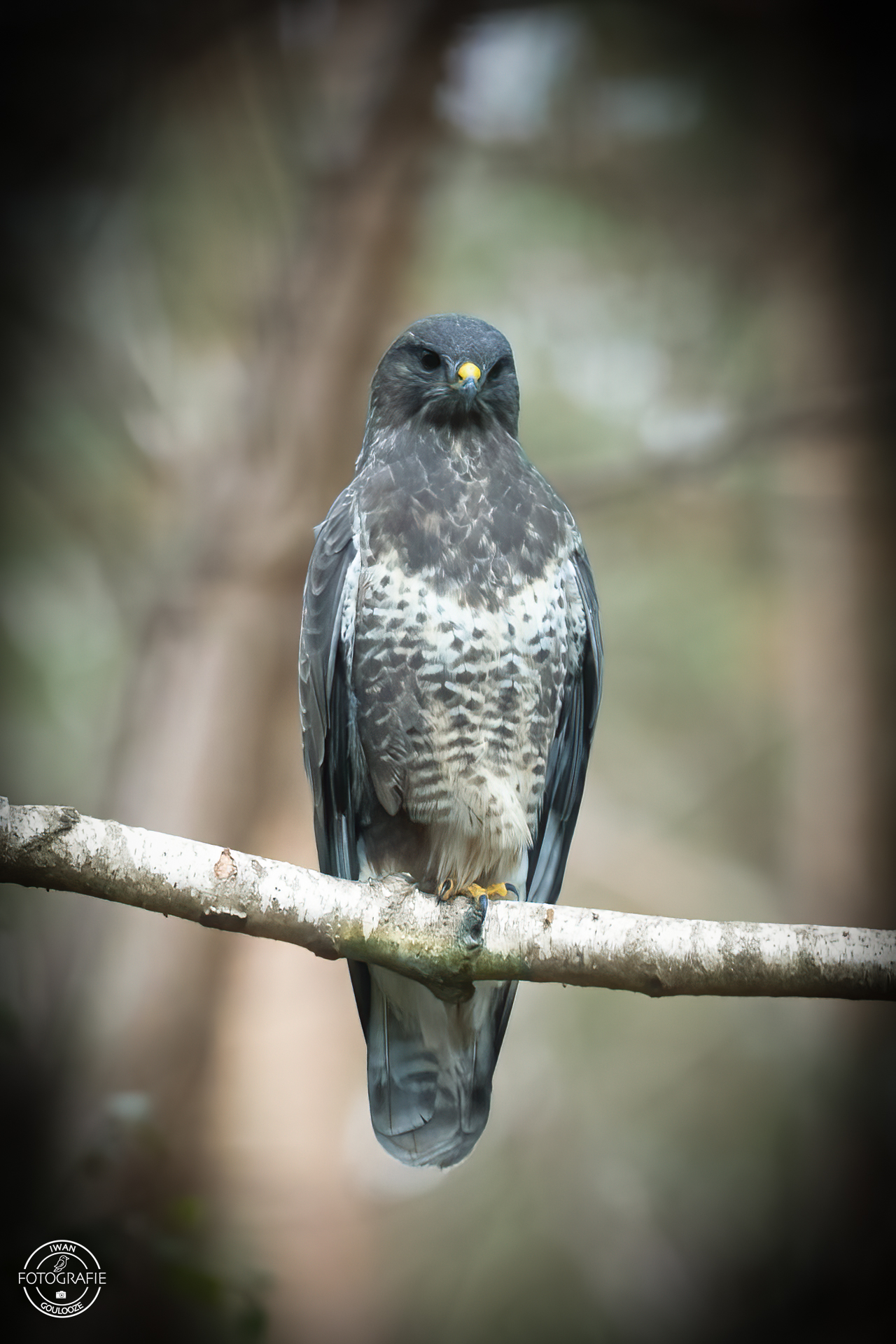 23 oktober 2022 140254 1R2A1335 bewerkt